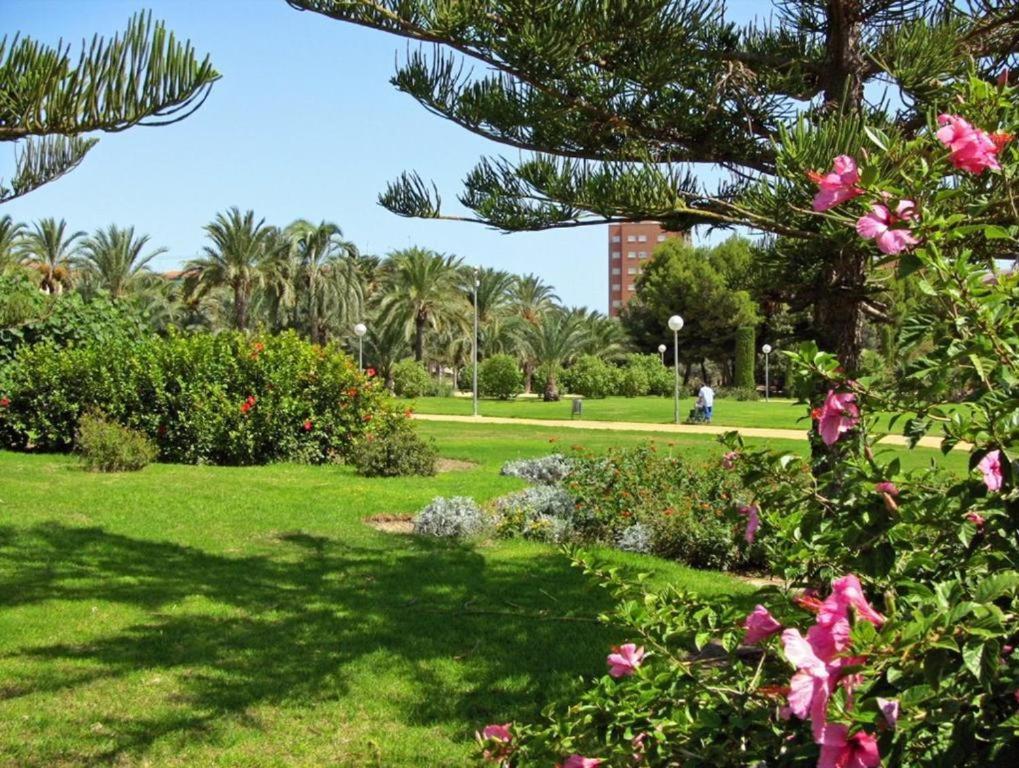 10-46-1- Комната В Квартире Для 4 Человек В Аликанте Alicante Ngoại thất bức ảnh
